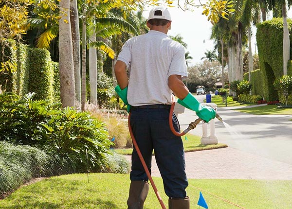 About Porter ME Pest Control